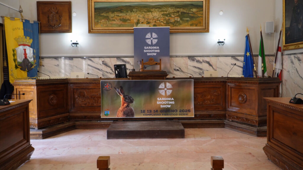 conferenza